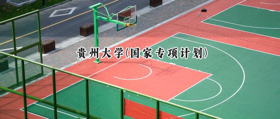 贵州大学(国家专项计划)