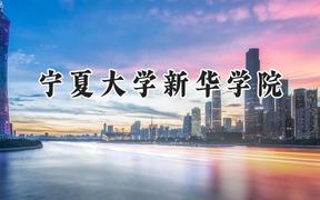 宁夏大学新华学院2024在浙江录取分数线是多少？最低467分/最高538分