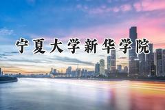宁夏大学新华学院2024在浙江录取分数线是多少？最低467分/最高538分