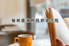 2024榆林能源科技职业学院录取分数线：宁夏最低310分