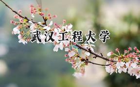武汉工程大学2024在江苏录取分数线是多少？最低545分/最高583分