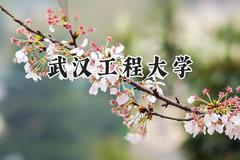 武汉工程大学2024在江苏录取分数线是多少？最低545分/最高583分