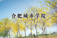 合肥城市学院2024在上海录取分数线是多少？最低403分/最高404分