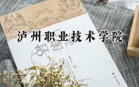泸州职业技术学院2024在重庆录取分数线是多少？最低328分/最高385分