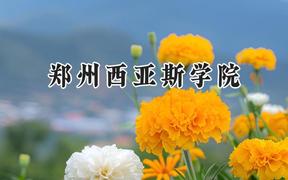 郑州西亚斯学院2024在重庆录取分数线是多少？最低449分/最高478分
