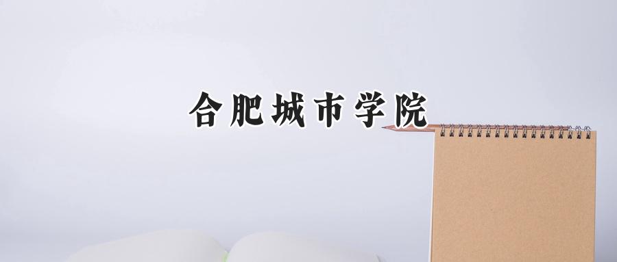 合肥城市学院