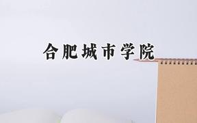 合肥城市学院2024在江苏录取分数线是多少？最低462分/最高489分