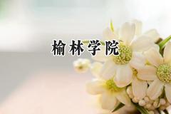 2024榆林学院录取分数线：山西最低441分