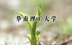 2024华南理工大学录取分数线：江苏最低616分
