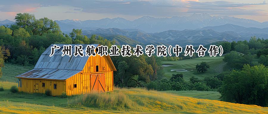 广州民航职业技术学院(中外合作)