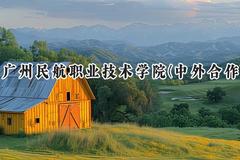2024广州民航职业技术学院(中外合作)录取分数线：青海最低297分