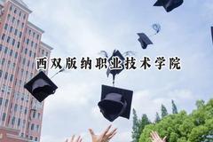 2024西双版纳职业技术学院录取分数线：宁夏最低289分