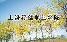 2024上海行健职业学院录取分数线：江苏最低399分