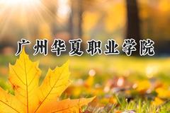 2024广州华夏职业学院录取分数线：青海最低167分