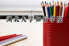 湖北大学知行学院2024在河北录取分数线是多少？最低478分/最高523分