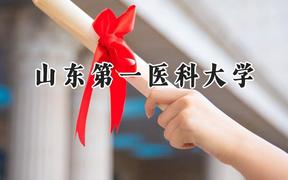 山东第一医科大学2024在河北录取分数线是多少？最低521分/最高594分