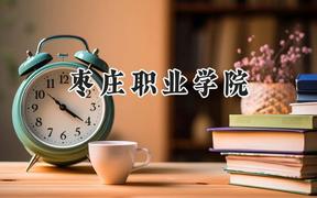 2024枣庄职业学院录取分数线：宁夏最低283分