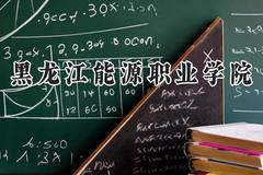 黑龙江能源职业学院2024在辽宁录取分数线是多少？最低155分/最高362分