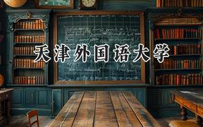 天津外国语大学2024在河北录取分数线是多少？最低529分/最高608分