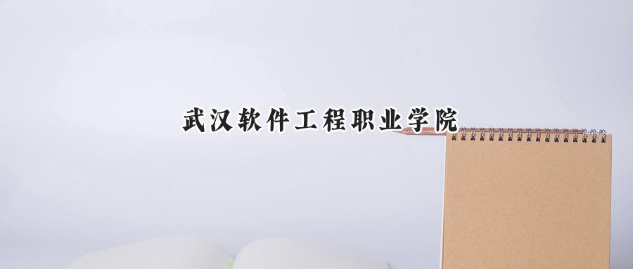 武汉软件工程职业学院