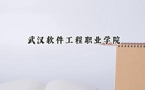 2024武汉软件工程职业学院录取分数线：青海最低312分