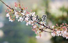 2024宁波大学录取分数线：天津最低585分