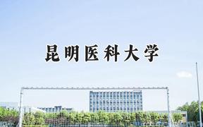 2024昆明医科大学录取分数线：江苏最低531分