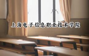 上海电子信息职业技术学院2024在上海录取分数线是多少？最低176分/最高256分