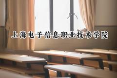 上海电子信息职业技术学院2024在上海录取分数线是多少？最低176分/最高256分