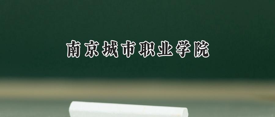 南京城市职业学院