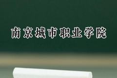 2024南京城市职业学院录取分数线：江苏最低437分