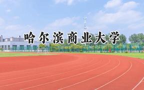 哈尔滨商业大学2024在天津录取分数线是多少？最低511分/最高569分