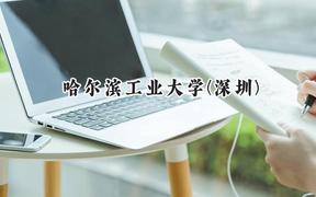 2024哈尔滨工业大学(深圳)录取分数线：江苏最低622分