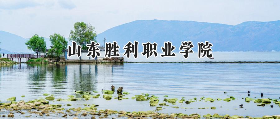 山东胜利职业学院
