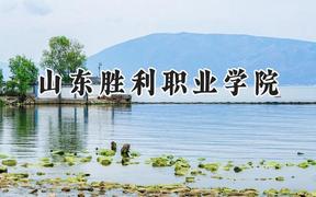 山东胜利职业学院2024在江苏录取分数线是多少？最低291分/最高387分