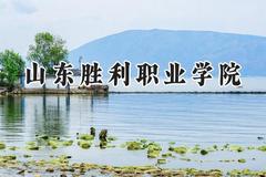 山东胜利职业学院2024在江苏录取分数线是多少？最低291分/最高387分