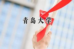 青岛大学2024在贵州录取分数线是多少？最低384分/最高595分