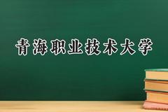 2024青海职业技术大学录取分数线：青海最低282分