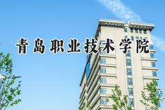 青岛职业技术学院2024在河北录取分数线是多少？最低349分/最高452分