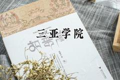 2024三亚学院录取分数线：青海最低313分