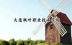 大連楓葉職業(yè)技術(shù)學院2024在遼寧錄取分數(shù)線是多少？最低150分/最高396分