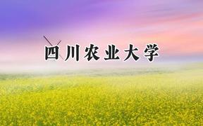 2024四川农业大学录取分数线：新疆最低468分