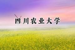 2024四川农业大学录取分数线：新疆最低468分