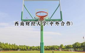 西南财经大学(中外合作)2024在重庆录取分数线是多少？最低555分/最高602分