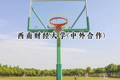 西南财经大学(中外合作)2024在重庆录取分数线是多少？最低555分/最高602分