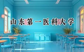 山东第一医科大学2024在浙江录取分数线是多少？最低536分/最高618分