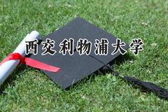 西交利物浦大学2024在内蒙古录取分数线是多少？最低527分/最高555分