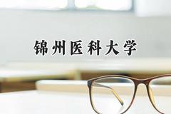 锦州医科大学2024在贵州录取分数线是多少？最低425分/最高546分