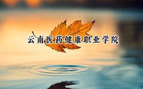 云南医药健康职业学院2024在河北录取分数线是多少？最低281分/最高421分