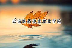 云南医药健康职业学院2024在河北录取分数线是多少？最低281分/最高421分